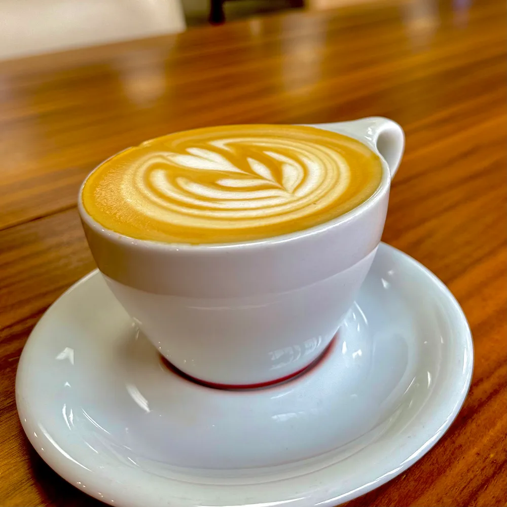 Dolcevita Coffee Roasters business photo