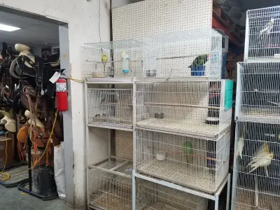 Oxnard Seed & Feed, Google photo 2