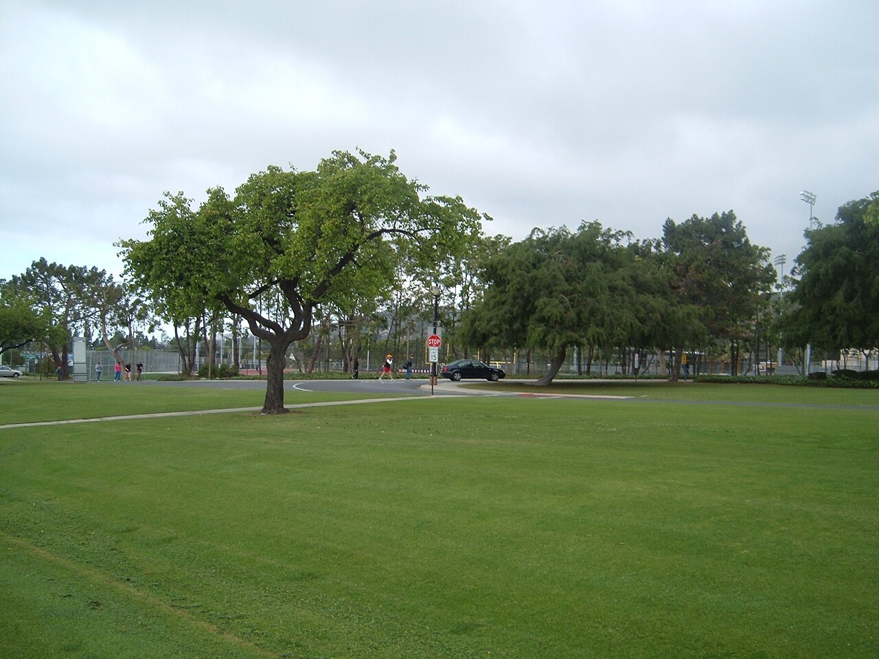 Ventura College campus